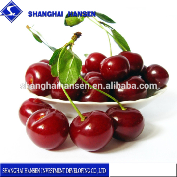 Import Agent of Red Cherry Chile Fruit for Customs Clearance