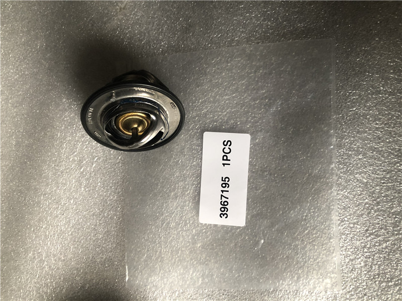 3967195 Thermostat