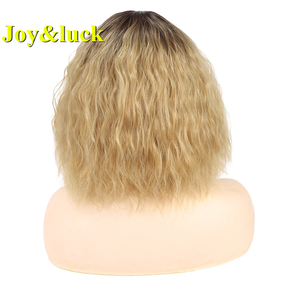 Woman Ladies Wig Wholesale Wigs for Women Middle Part Party Dark Root Brown Ombre Blonde Natural Short Curly Synthetic Hair Wigs