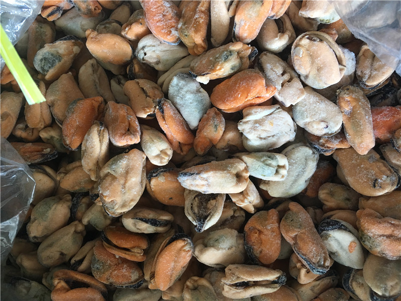 mrożone zielone odmiany mięso małży o cenie fabrycznej