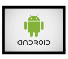 10.1 INCHES, 1280XRGBX800, 16.7M COLORS, ANDROID LCM