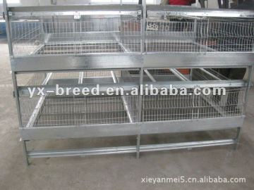 poultry broiler house