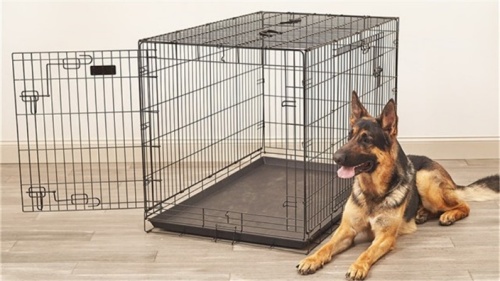 Canil para cães em gaiola para animais de estimação com arame preto personalizado