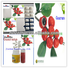 Guarana mint chewing gum manufacturer energy gum