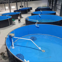 High Quality Professional Tilapia Farming Equipment and Commercial Fish Tank Equipments for Fish Farming
