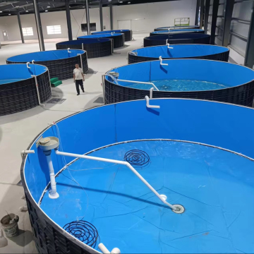 High Quality Professional Tilapia Farming Equipment and Commercial Fish Tank Equipments for Fish Farming