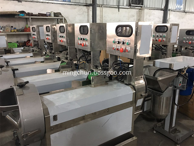 Vegetable Dicing Machine