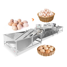 Stainless Steel Industrial Egg Wash Drying and Cleaning Machine