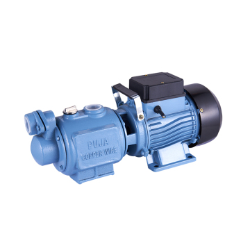 ZGD1100 High Pressure Self-Priming Garden Pump