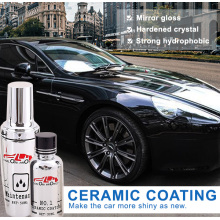 ceramic paint coating cost