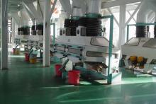 Oilseed Pressing Production Line