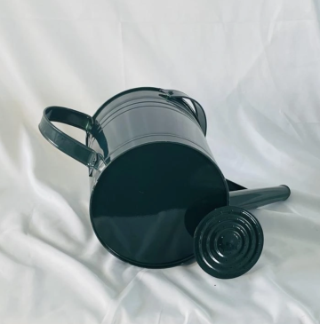 Customized long spout metal watering can