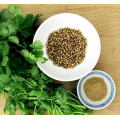 Coriander-Samenpulver online kaufen