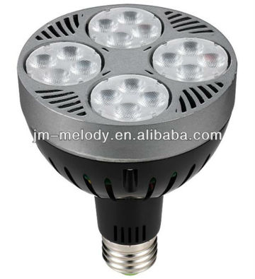 25W PAR30 LED Spot Light