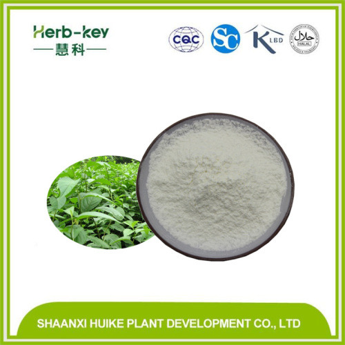 Eucommia Extract Chlorogenic Acid 98%