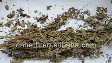 Dried Herba agrimoniae,Hairyvein agrimonia,Hairy agrimony,agri,Agrimonia pilosa,Xian he cao,Astringent,Stomach cancer medicine