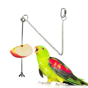 Stainless Steel Bird Chicken Veggies Skewer Food Fruit Holder for Hens Hanging Vegetable Feeder Foraging Toy Bird Treat Skewer