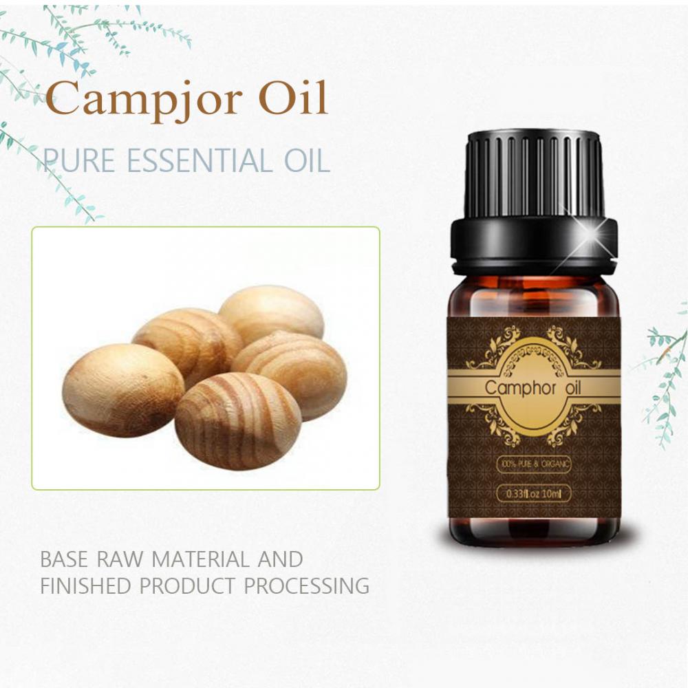 Best Quality camphor essential oil OEM/ODM for body