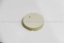 Dual Frequency Piezo Disc 200KHz