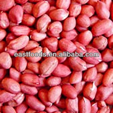 RED SKIN GROUNDNUT KERNELS