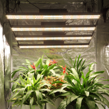 BAVA 800W LED Plant Grow Light: Full Spectrum with Four Switches for Indoor Vegetative and Floral Growth