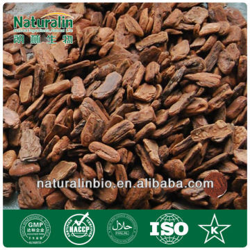 Pine Bark Extract Powder