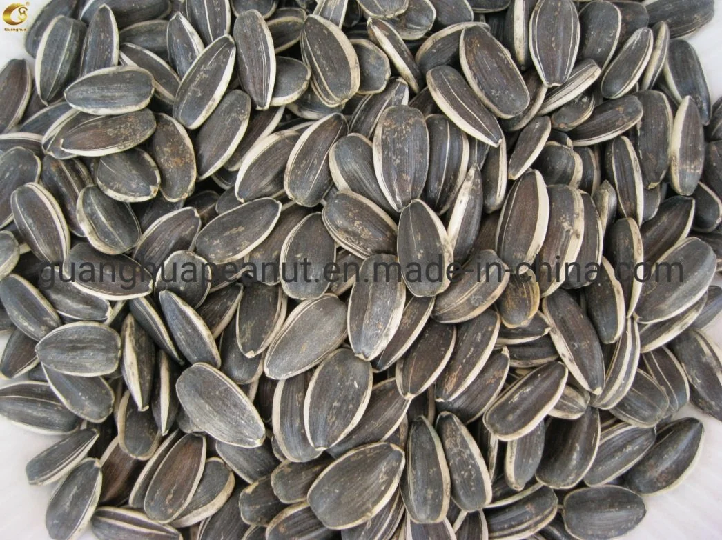 Perfect Quality Sunflower Seeds New Crop with Ce