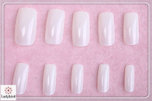 Professional French Nail Tip/Nail Gel Tips With Good Service