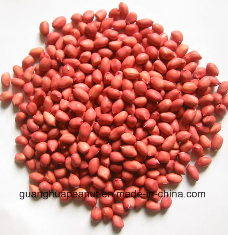 Hot Sale New Crop Red Skin Peanut Kernels 50/60 60/70