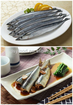 Frozen Pacific Saury Fish