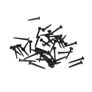 Blue Black Shoe Tack Butterfly