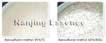 Bensulfuron-Methyl 60%WDG