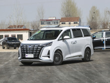 Luxury Business Electric MPV DENZA D9