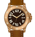 CNC Bronze watches untuk pria