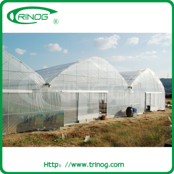 Sturdy modern agricultural equipments greenhouse for sale