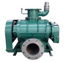 Roots Positive Displacement Blowers