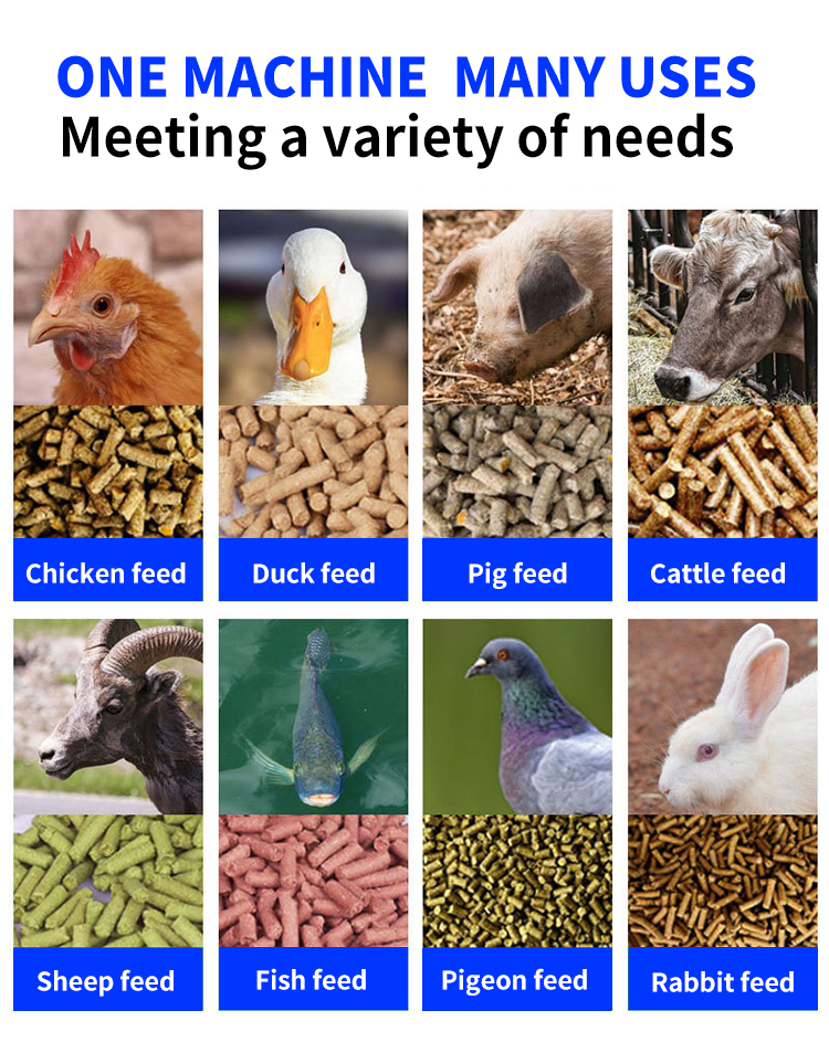 Feed Pellet Machine Feed Pellet Machine