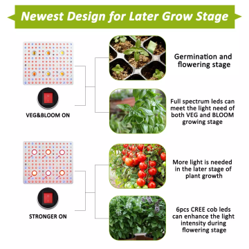 Chips Cree originais luzes LED para plantas