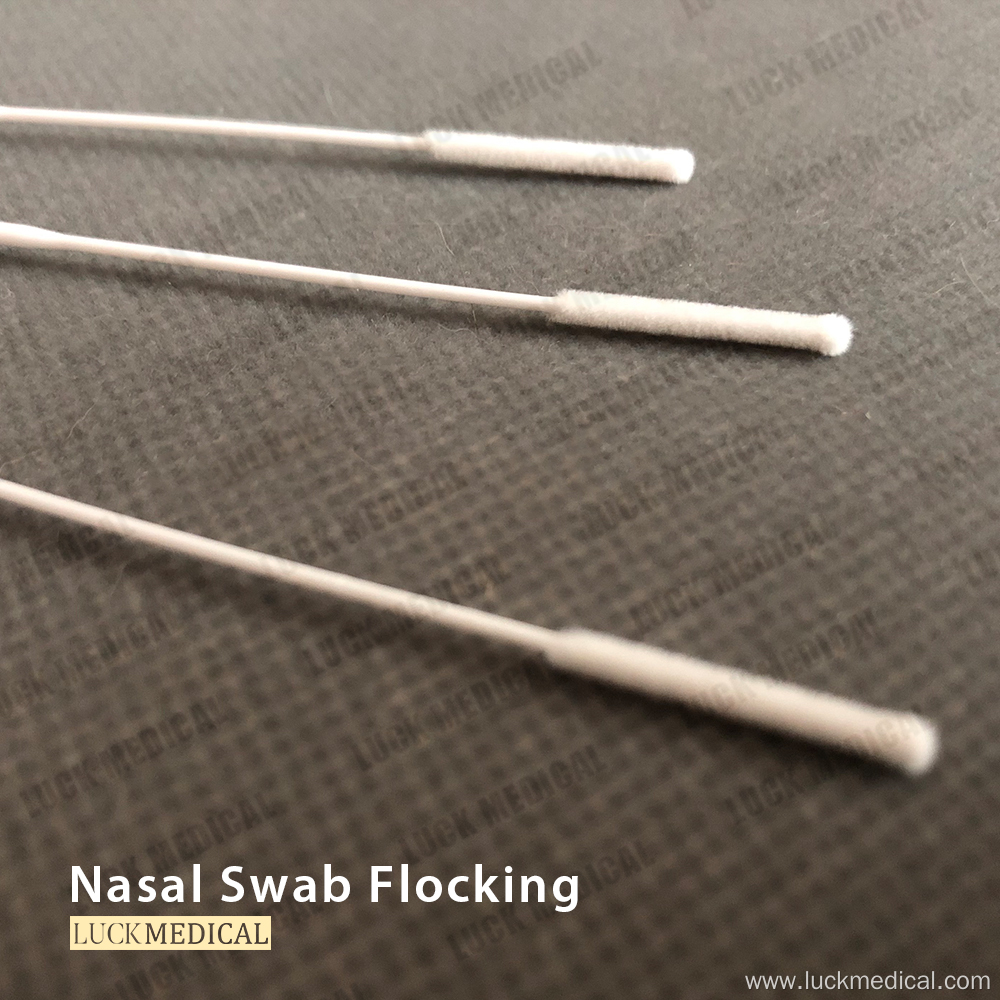 Nasopharyngeal Swab for Viral Culture NP CE