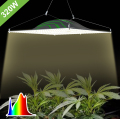 Diseño de disipación de calor revolucionario LED Grow Light