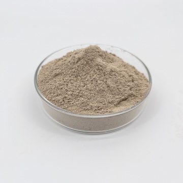 Biochemical Ammonia Nitrogen Degrading Bacteria Brown Powder