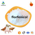 buy oral solution Florfenicol injection