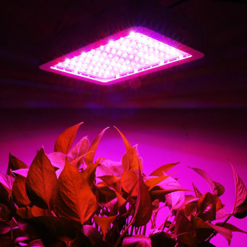 수경법을위한 뜨거운 판매 이중 칩 LED 식물 램프