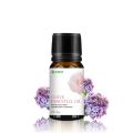 Precio a granel al por mayor 100% Pure Natural Clove Leaf Essential Oil para el crecimiento del cabello