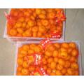 Top Quality Nanfeng Baby Mandarin Orange Prezzo di esportazione