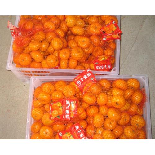 Toppkvalitet Nanfeng Baby Mandarin Orange Eksportpris