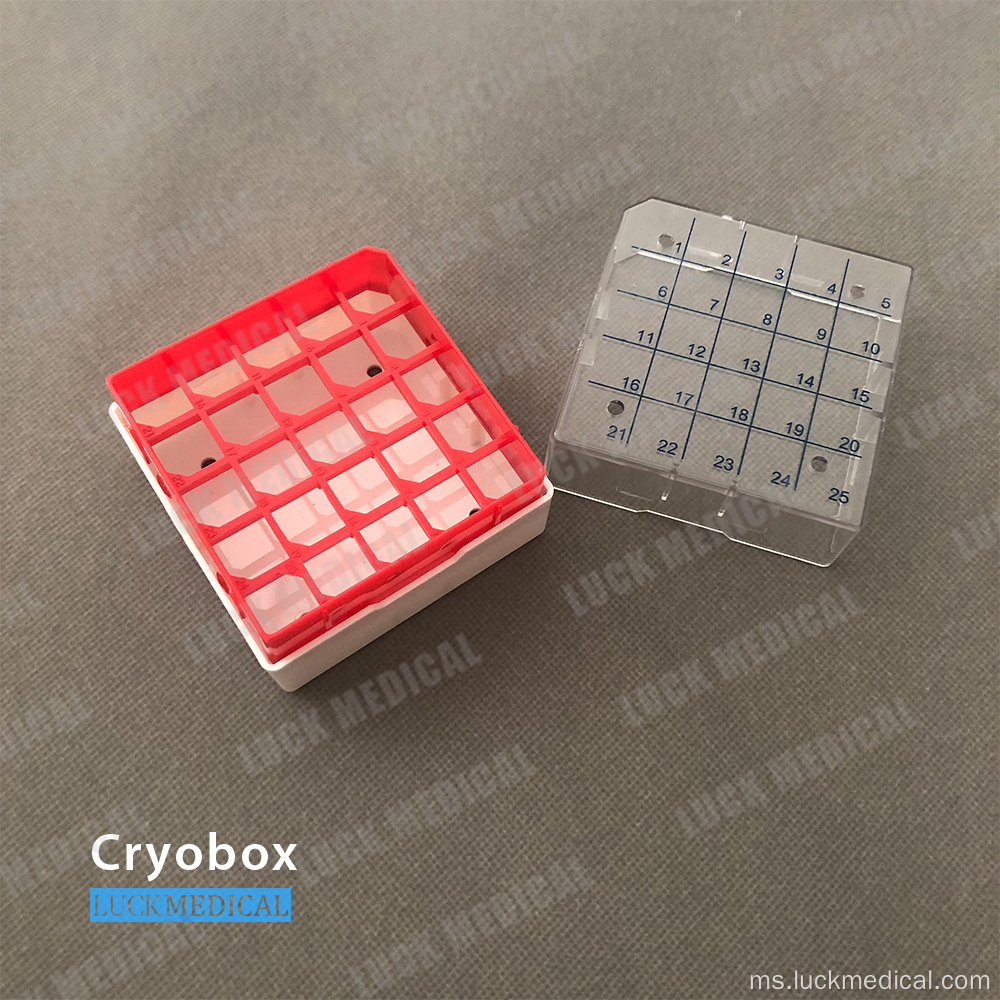 5x5 25 Tempat Cryotube Box Eksport ke Sepanyol