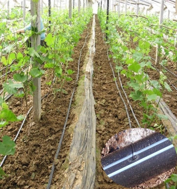 Plastic Drip irrigation tape for farm irrigation