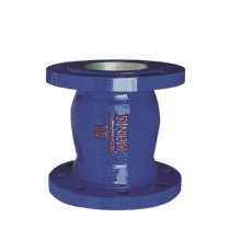 Silent Check Valve