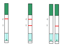 BNC-SARS-CoV-2 Proteins